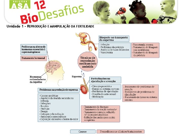 Unidade 1 - REPRODUÇÃO E MANIPULAÇÃO DA FERTILIDADE 