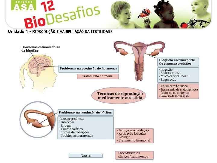 Unidade 1 - REPRODUÇÃO E MANIPULAÇÃO DA FERTILIDADE 