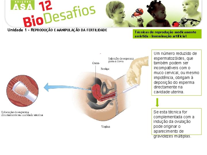 Unidade 1 - REPRODUÇÃO E MANIPULAÇÃO DA FERTILIDADE Técnicas de reprodução medicamente assistida –