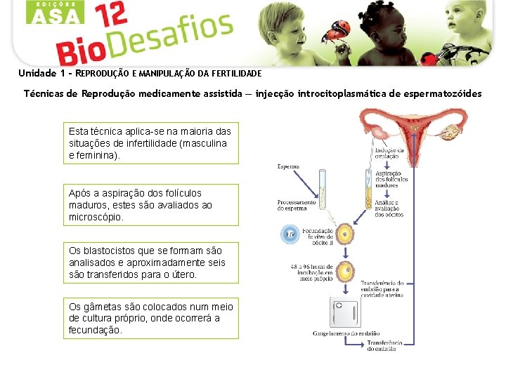 Unidade 1 - REPRODUÇÃO E MANIPULAÇÃO DA FERTILIDADE Técnicas de Reprodução medicamente assistida —