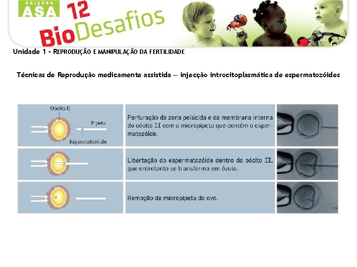 Unidade 1 - REPRODUÇÃO E MANIPULAÇÃO DA FERTILIDADE Técnicas de Reprodução medicamente assistida —