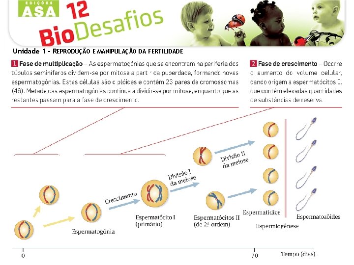 Unidade 1 - REPRODUÇÃO E MANIPULAÇÃO DA FERTILIDADE 