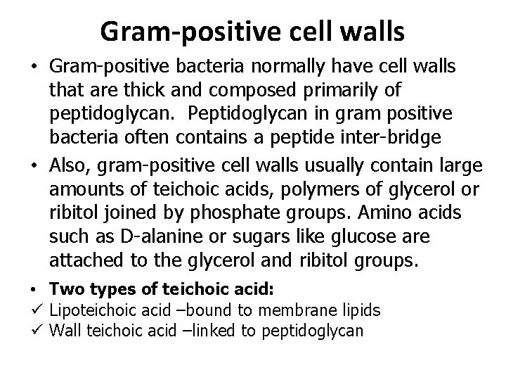 Gram-positive cell walls • Gram-positive bacteria normally have cell walls that are thick and