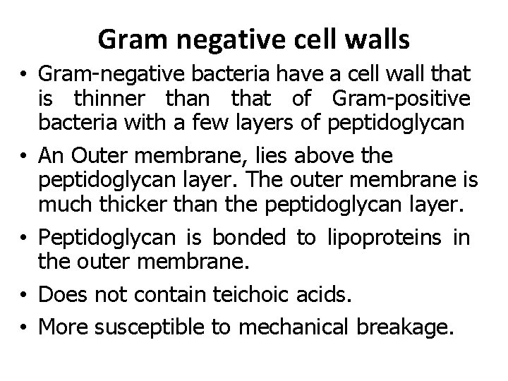 Gram negative cell walls • Gram-negative bacteria have a cell wall that is thinner