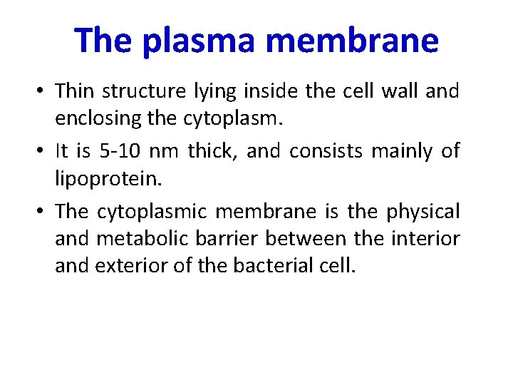 The plasma membrane • Thin structure lying inside the cell wall and enclosing the