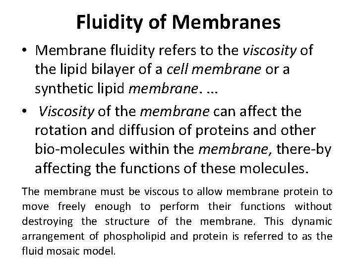 Fluidity of Membranes • Membrane fluidity refers to the viscosity of the lipid bilayer