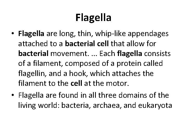 Flagella • Flagella are long, thin, whip-like appendages attached to a bacterial cell that