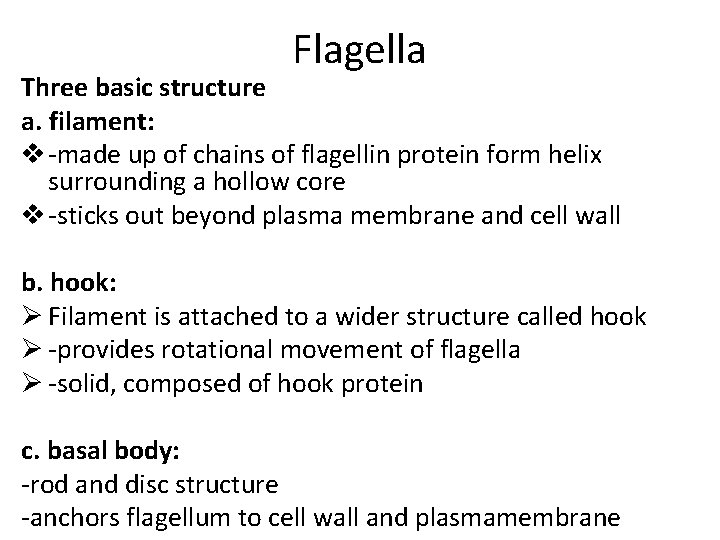 Flagella Three basic structure a. filament: v -made up of chains of flagellin protein