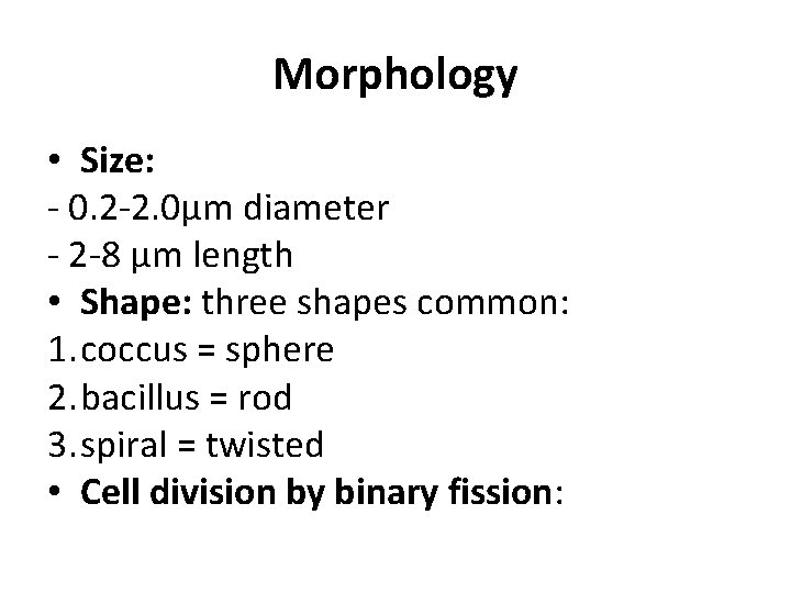 Morphology • Size: - 0. 2 -2. 0μm diameter - 2 -8 μm length