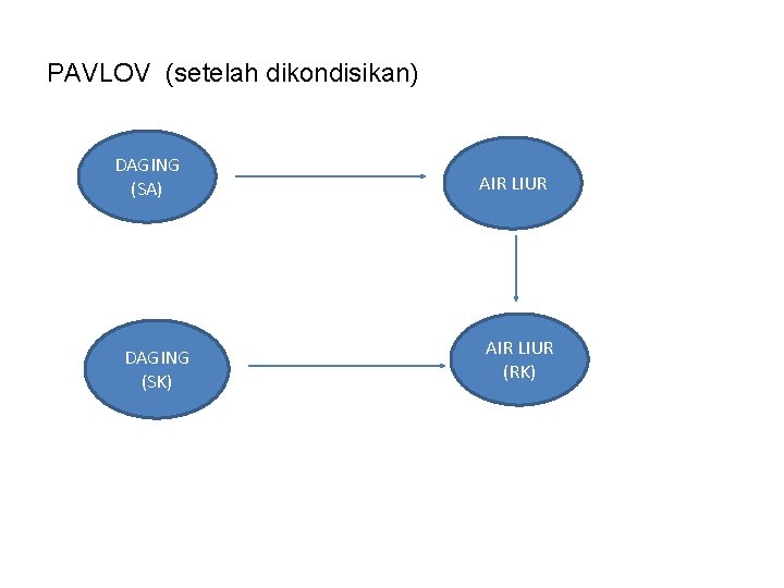 PAVLOV (setelah dikondisikan) DAGING (SA) DAGING (SK) AIR LIUR (RK) 