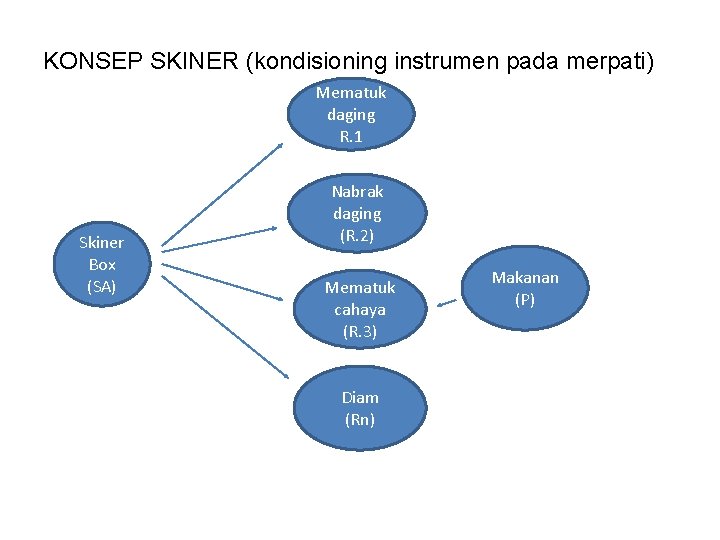 KONSEP SKINER (kondisioning instrumen pada merpati) Mematuk daging R. 1 Skiner Box (SA) Nabrak