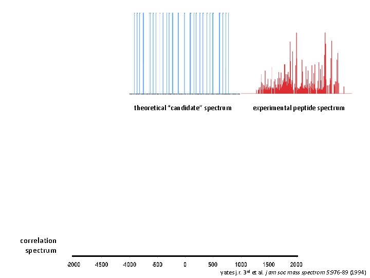 theoretical “candidate” spectrum experimental peptide spectrum correlation spectrum yates j. r. 3 rd et