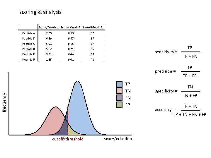 scoring & analysis Score/Metric 1 Score/Metric 2 Score/Metric 3 Peptide A 7. 65 0.