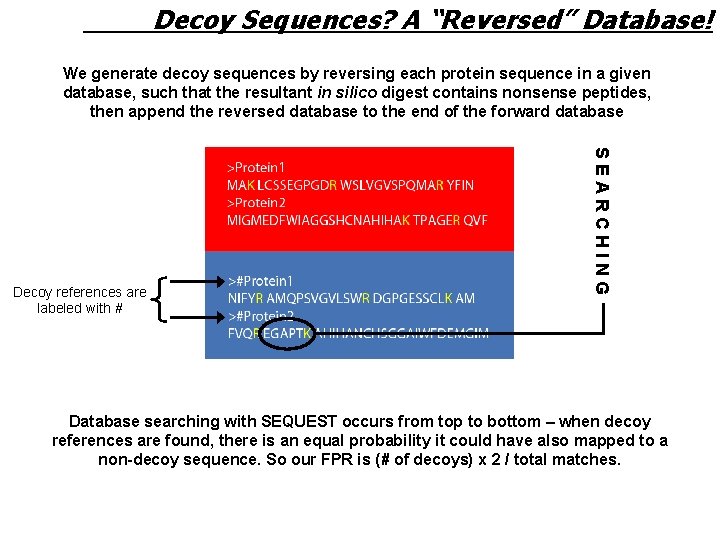 Decoy Sequences? A “Reversed” Database! We generate decoy sequences by reversing each protein sequence