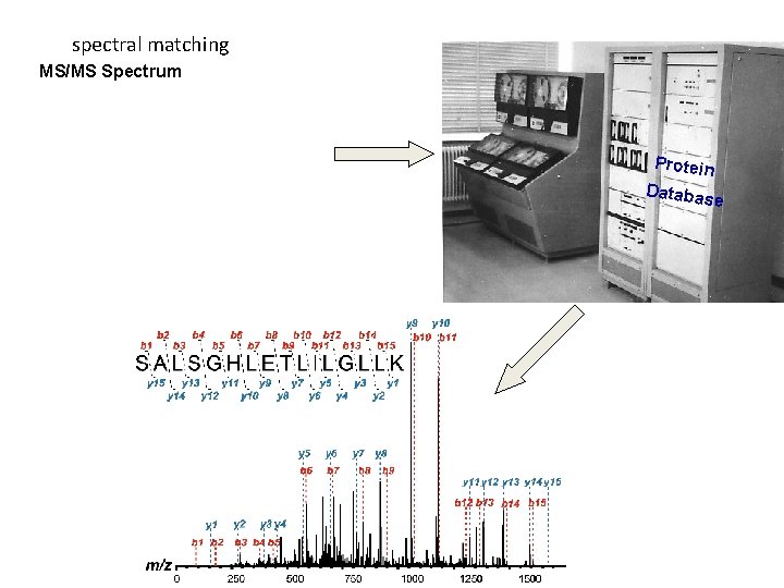 spectral matching MS/MS Spectrum Protein Databas e 