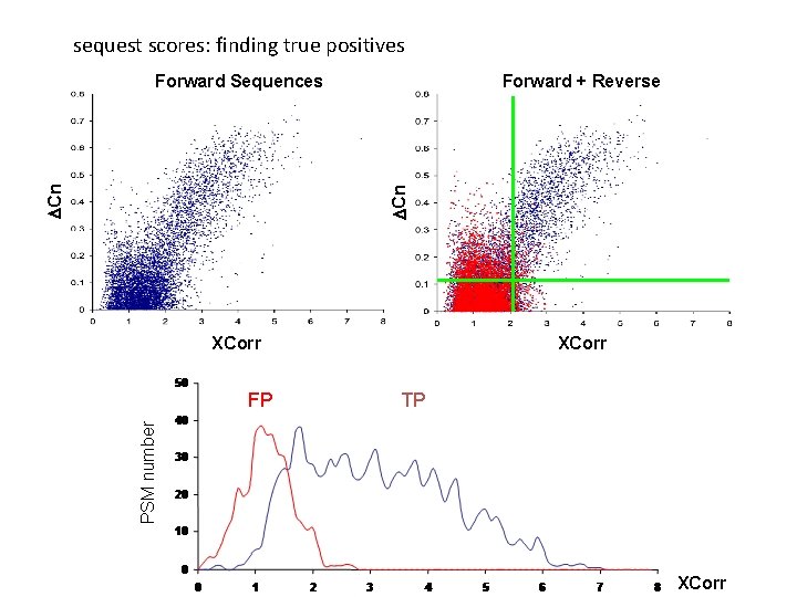 sequest scores: finding true positives Forward + Reverse DCn Forward Sequences XCorr TP PSM