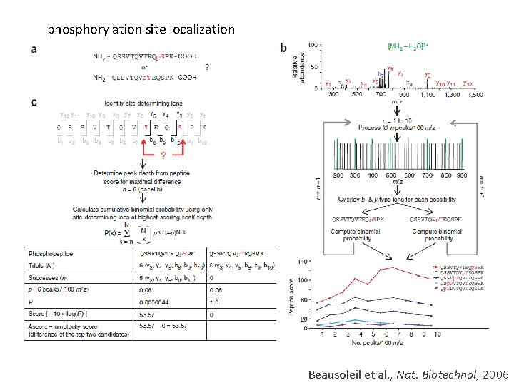 phosphorylation site localization Beausoleil et al. , Nat. Biotechnol, 2006 