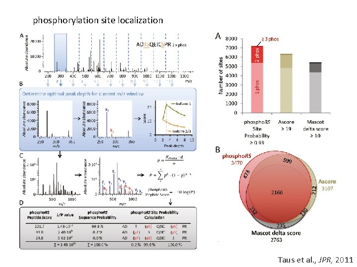 phosphorylation site localization Taus et al. , JPR, 2011 