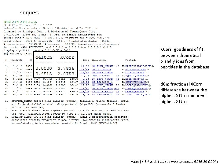 sequest XCorr: goodness of fit between theoretical b and y ions from peptides in