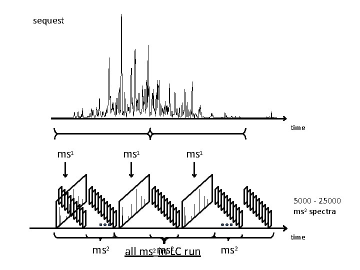 sequest time ms 1 5000 - 25000 ms 2 spectra time ms 2 2