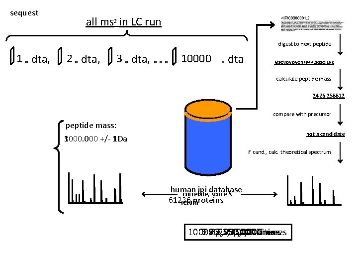 sequest all ms 2 in LC run digest to next peptide 1 dta, 2