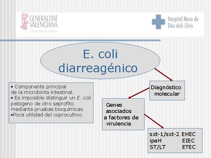 E. coli diarreagénico § Componente principal de la microbiota intestinal. § Es imposible distinguir
