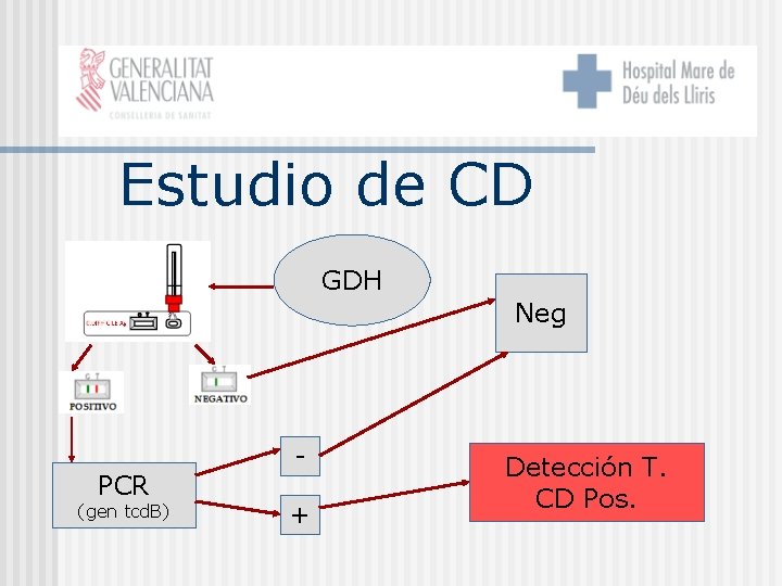 Estudio de CD GDH Neg PCR (gen tcd. B) + Detección T. CD Pos.