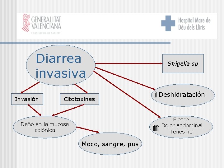 Diarrea invasiva Invasión Citotoxinas Shigella sp Deshidratación Fiebre Dolor abdominal Tenesmo Daño en la