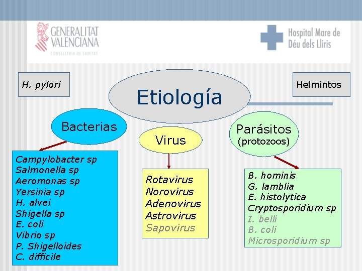 H. pylori Helmintos Etiología Bacterias Campylobacter sp Salmonella sp Aeromonas sp Yersinia sp H.