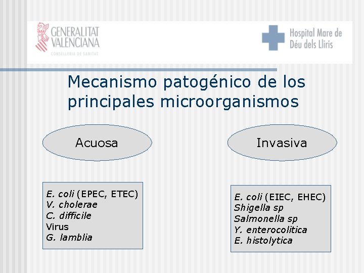 Mecanismo patogénico de los principales microorganismos Acuosa E. coli (EPEC, ETEC) V. cholerae C.