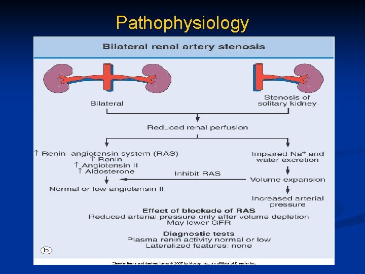 Pathophysiology 