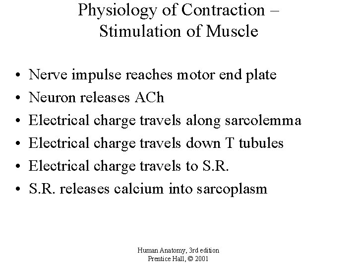 Physiology of Contraction – Stimulation of Muscle • • • Nerve impulse reaches motor