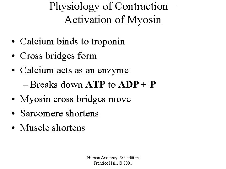 Physiology of Contraction – Activation of Myosin • Calcium binds to troponin • Cross