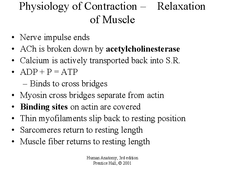 Physiology of Contraction – of Muscle • • • Relaxation Nerve impulse ends ACh