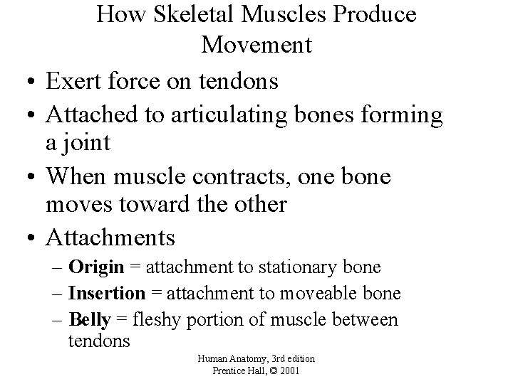  • • How Skeletal Muscles Produce Movement Exert force on tendons Attached to