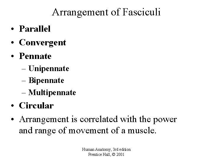 Arrangement of Fasciculi • Parallel • Convergent • Pennate – Unipennate – Bipennate –