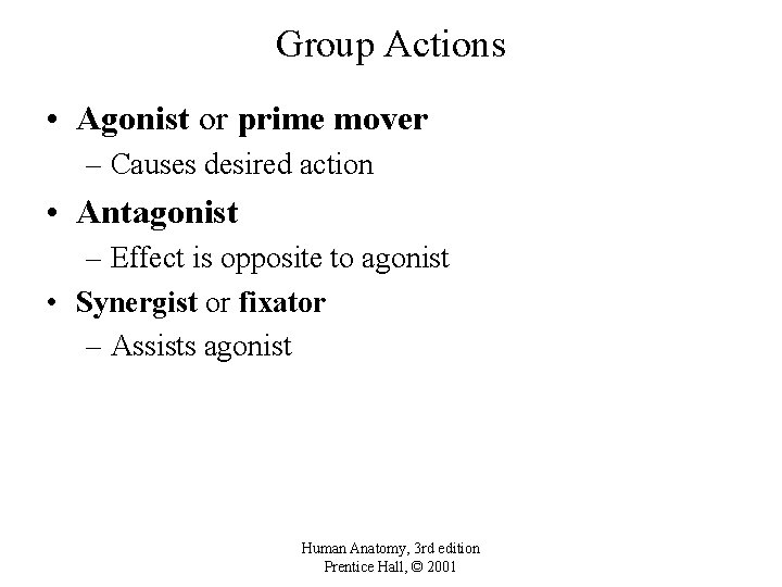 Group Actions • Agonist or prime mover – Causes desired action • Antagonist –