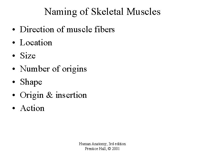 Naming of Skeletal Muscles • • Direction of muscle fibers Location Size Number of
