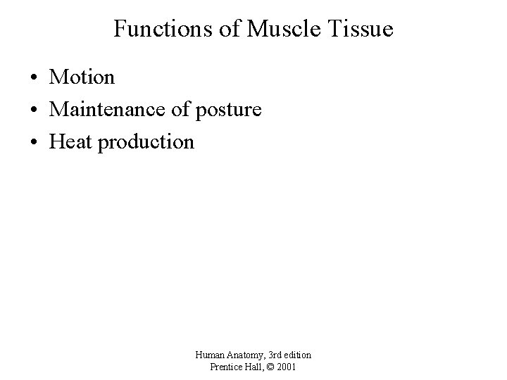 Functions of Muscle Tissue • Motion • Maintenance of posture • Heat production Human