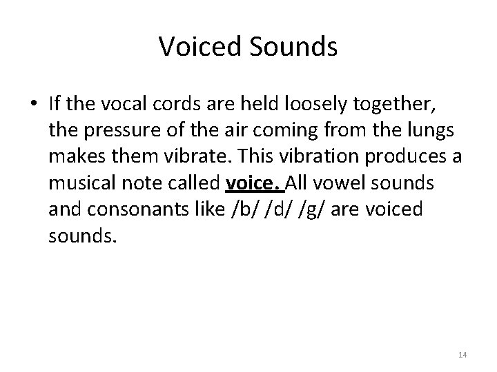 Voiced Sounds • If the vocal cords are held loosely together, the pressure of