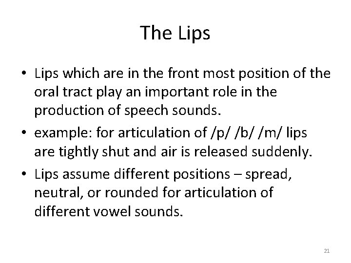 The Lips • Lips which are in the front most position of the oral