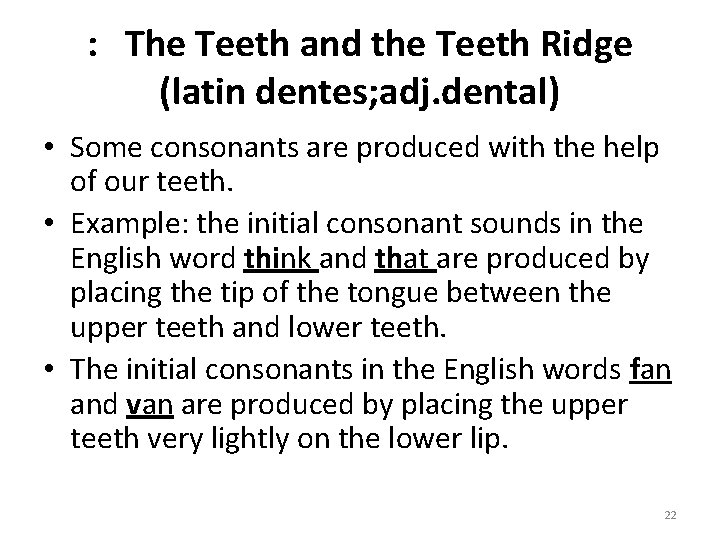 : The Teeth and the Teeth Ridge (latin dentes; adj. dental) • Some consonants