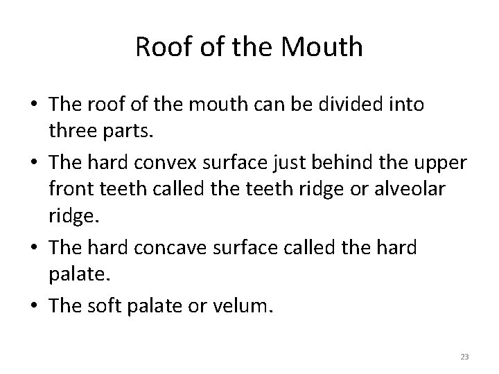Roof of the Mouth • The roof of the mouth can be divided into