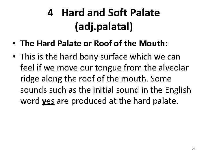 4 Hard and Soft Palate (adj. palatal) • The Hard Palate or Roof of