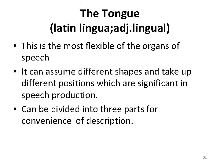 The Tongue (latin lingua; adj. lingual) • This is the most flexible of the
