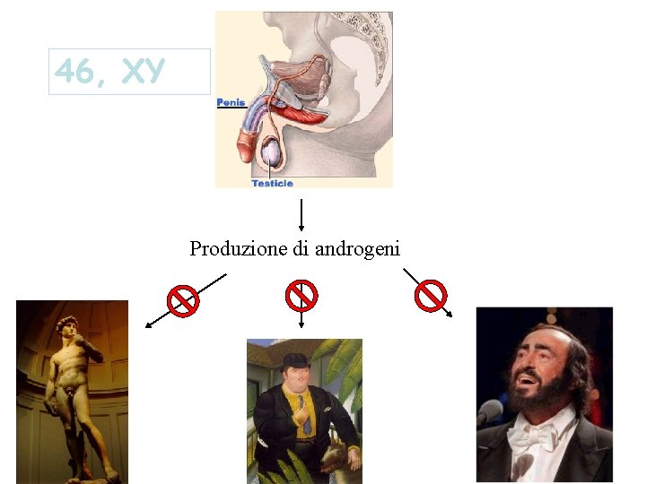46, XY Produzione di androgeni 
