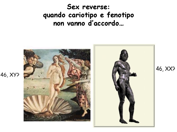 Sex reverse: quando cariotipo e fenotipo non vanno d’accordo… 