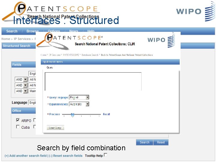 Interfaces : Structured Search by field combination 