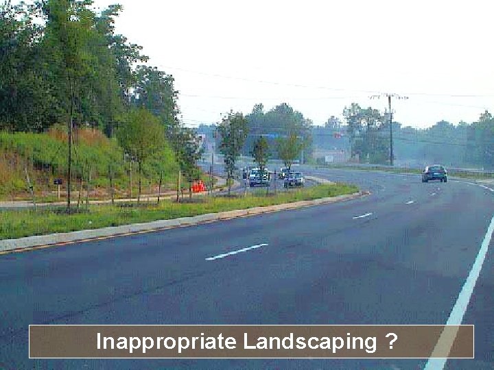 Inappropriate Landscaping ? 