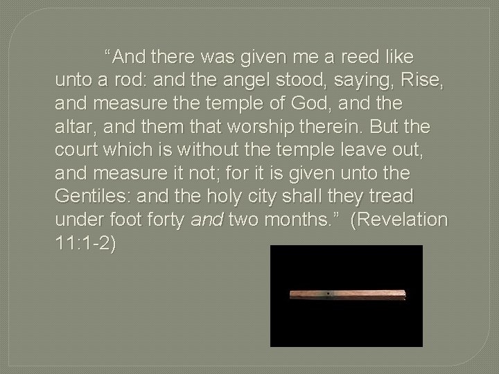 “And there was given me a reed like unto a rod: and the angel
